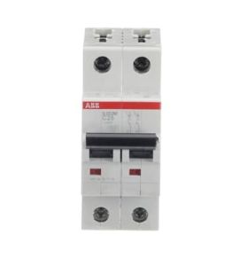S202M-C20 Miniature Circuit Breaker - 2P - C - 20 A