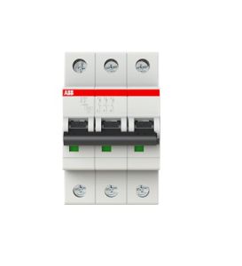 S202M-C63 Miniature Circuit Breaker - 2P - C - 63 A