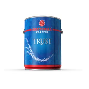 NATIONAL PAINTS A540 Trust Odorless - Silk 3.6 Ltr