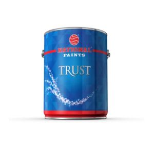 NATIONAL PAINTS A541 Trust Odorless - Matt 3.6 Ltr