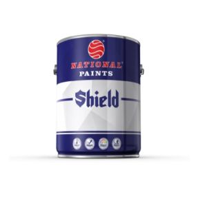 NATIONAL PAINTS A473 Shield Tex Matt 3.6 Ltr