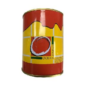 OCEAN PAINT Aluminium Paint Gal