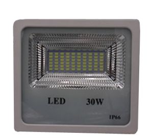 30 W LED Projector Flood Light, Make : Freelux