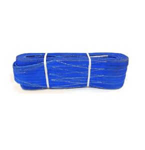 VAULTEX SAM 2 Ply Polyester Webbing Sling Blue (8M)