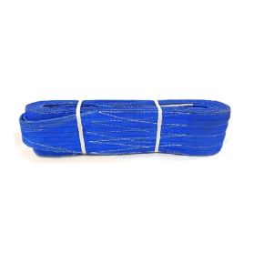 VAULTEX DOU 2 Ply Polyester Webbing Sling Blue (10M, 7:1)