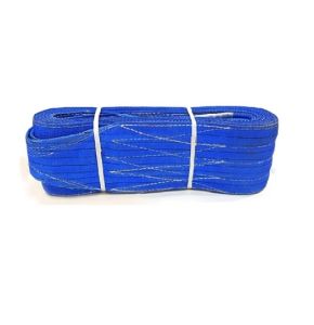 VAULTEX BLE 2 Ply Polyester Webbing Sling Blue (8M, 7:1)